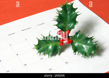 Ein Stück der Stechpalme beruht auf dem Adventskalender. Stockfoto