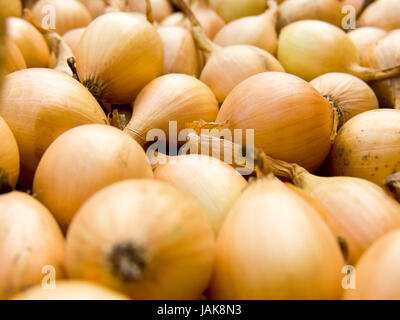 Einen Haufen schöne Birne Zwiebeln auf einen Zähler Stockfoto