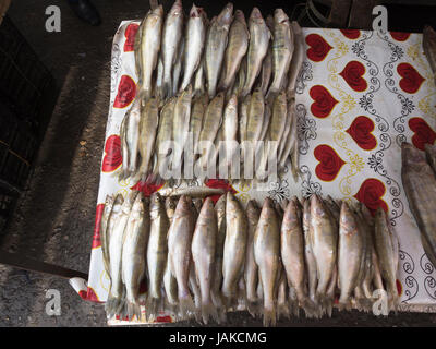 Frischen Fisch an den Fischhändler, produzieren täglich im freien Markt in Şəki (transkribierten Shaki oder Scheki) im nördlichen Aserbaidschan Angebote aus einer fruchtbaren region Stockfoto