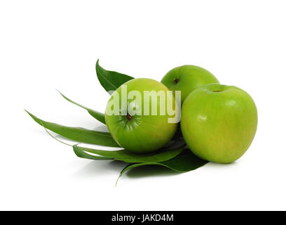 Brustbeeren oder Affen Apfel Stockfoto