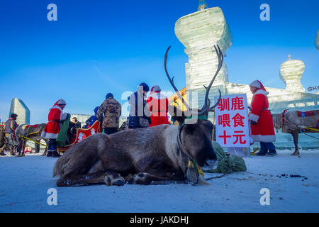 Harbin, China - 9. Februar 2017: Rentier in Harbin internationale Eis und Schnee Skulpturen Festival. Stockfoto