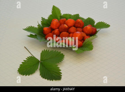 Erdbeeren Auf ErdbeerblŠttern in Einer Schale Stockfoto