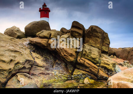 a08d4133-8433-490d-b494-c2a45548fdf7 Stockfoto