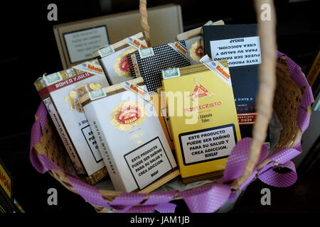 Auswahl an kubanischen Zigarren Mini in den Warenkorb Stockfoto