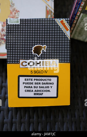 Cohiba Mini kubanische Zigarren Stockfoto