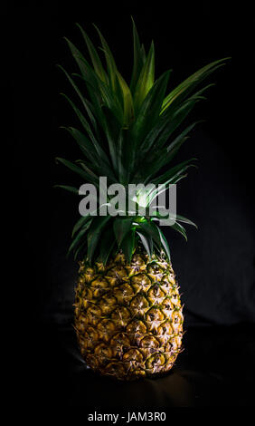 Frische und reife Ananas Stockfoto