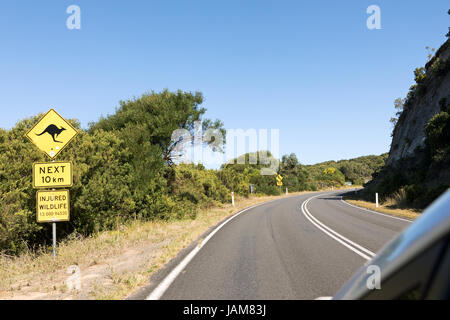 Kangaroo Warnschild entlang der Great Ocean Road Australien Stockfoto