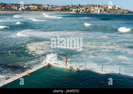 Bondi Icebergs und Bondi Beach in die östlichen Vororte, Bondi, Sydney, New South Wales, Australien. Stockfoto