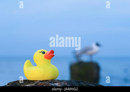 Im Freien auf der Ostsee-Strand in der Abenddämmerung mit gelben Gummiente in den Vordergrund und Möwe auf der Bühne sitzen in den unscharfen Hintergrund Stockfoto