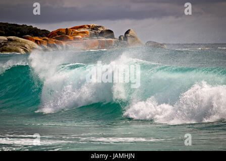 Australien, Tasmanien, Galle Bildung, Bay Of Fires, St. Helens, Küste, Surfen, Stockfoto