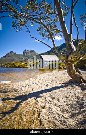 Australien, Tasmanien, Rundweg, Dove Lake, Cradle Mountain National Park, am See, Stockfoto