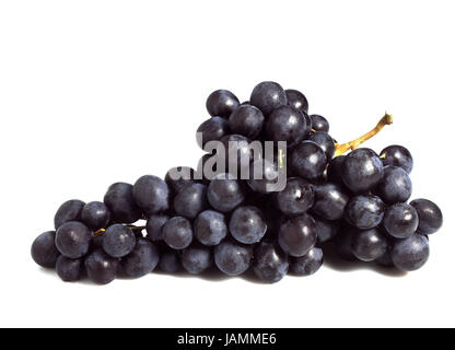 Muscat-Traube, Black Muscat oder Moscato Tu Amburgo, Vitis Vinifera, weißer Hintergrund, Stockfoto