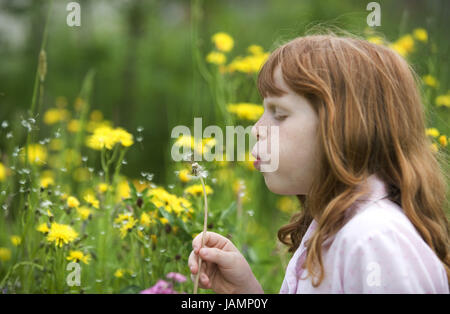 Mädchen, Blumenwiese, Blätterteig Blume, Stockfoto