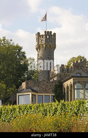 Deutschland, Hessen, Berg Johannis, Burg Stein, künstlich, ruinieren, Park, Struktur, Runde Turm, Gothic, Architektur, gute Pub, Hessische Rhein, Rheingau, Weinbau, Weinbaugebiet, schwarzer Berg, Flagge, sonnig, draußen, menschenleer, Stockfoto