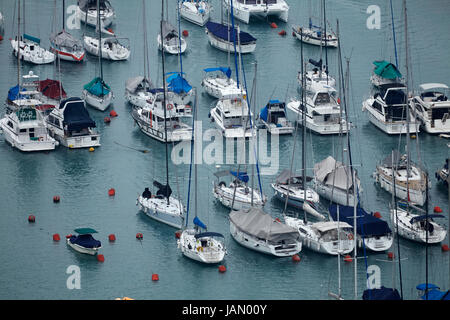 Yachten in Marina in Causeway Bay Typhoon Shelter, Causeway Bay, Hong Kong, China Stockfoto