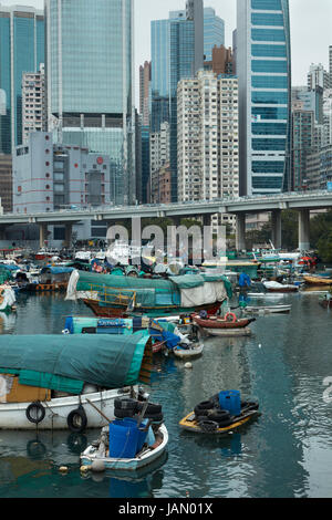 Boote im Yachthafen in Causeway Bay Typhoon Shelter, Causeway Bay, Hong Kong, China Stockfoto