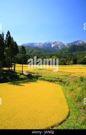 Japanischen Alpen und Reis Bereich Hakuba Dorf, Nagano, Japan Stockfoto