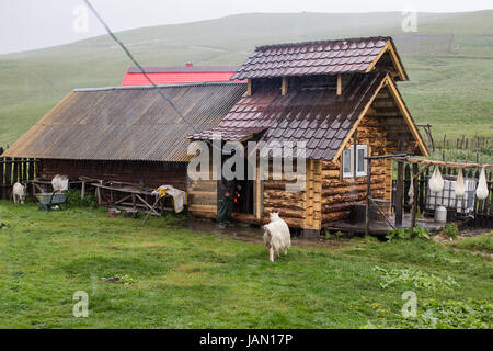 Rumänische Landschaft, Käser, alten traditionellen Verfahren, Feuerstelle in der Mitte des Hauses. Maramures-Gebirge. Stockfoto