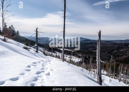 Ende des Winters unten Beskid Slaski Berge Barania Gora Hügel in der Nähe von Wisla Resort in Polen mit Schnee, Schritte, einige Bäume, Hügel auf den Hintergrund und blau Stockfoto