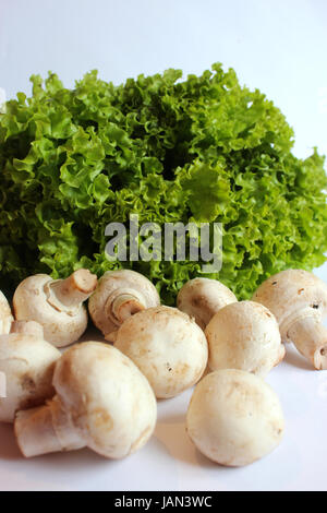 schöne Agaric und bereit für das Kochen der Kopfsalat Stockfoto