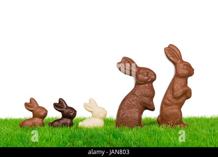 Ostern Hase Familie Ostern auf eine frische Wiese. Isoliert auf weiss. Stockfoto