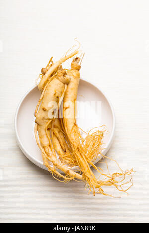 Frische Ginseng auf die Schüssel weiß Stockfoto