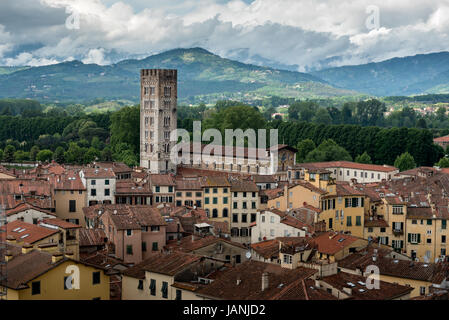 Blick über die italienische Stadt Lucca mit typischen Terrakottadächer Stockfoto