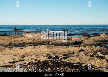 Ein armer Mann um zu schauen, was er aus dem Meer und die Felsen zu ernten Stockfoto