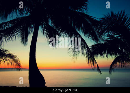 Dramatische farbenfrohes Sonnenuntergang sorgt für schöne Silhouetten und Formen der Kokospalme lässt Pagudpud Beach auf der Philippinen-Insel Luzon. Stockfoto