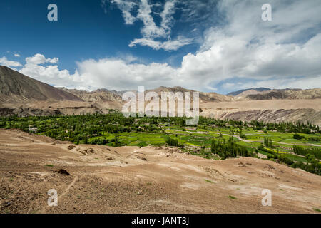 Desert Oasis Alchi Village in Ladakh im indischen Himalaya Region. Eine schöne Landschaft Fotografie Bild von einem üppig grünen Tal inmitten von Unfruchtbarkeit Stockfoto