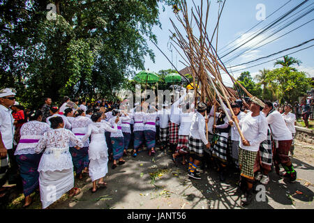 Haften Sie Kampf am Mekotek Ritual eine einzigartige balinesische Zeremonie und Tradition auf das Dorf Desa Munggu die einmal alle 210 Tage am Kuningan auftritt Stockfoto