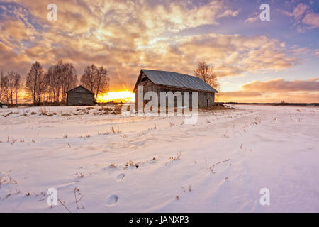 Ein Kaninchen hat, die alte Scheune Häuser im ländlichen Finnland auf dem Schnee laufen. Die Frühlingssonne setzt deutlich hinter den Gebäuden. Stockfoto