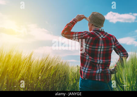 Konzept der verantwortliche Landwirtschaft, Bäuerin in Getreide ernten Feld, Frau Agronom Blick über das Weizenfeld bis zum Horizont an einem windigen Tag und p Stockfoto