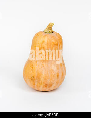 Nahaufnahme von frischen Butternut-Kürbis auf weißem Hintergrund Stockfoto