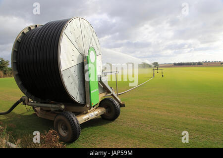 Rainstar Irrigator Crop Sprayer Feld Rasen Rasen, Alderton, Suffolk, England, UK Stockfoto