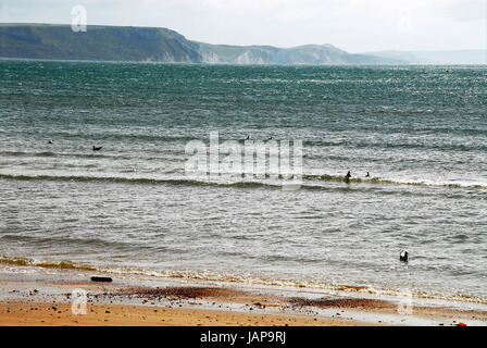 Dorset UK. 7. Juni 2017. Ansturm auf die Bucht "Wellenlinien" an einem stürmischen Tag in Weymouth Credit: Stuart Fretwell/Alamy Live-Nachrichten Stockfoto