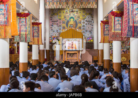 Dharamshala, Indien - 6. Juni 2017: Öffentlichen Belehrungen seiner Heiligkeit dem Dalai Lama in Dharamsala, Indien. Bildnachweis: Aliaksandr Mazurkevich/Alamy Live-Nachrichten Stockfoto