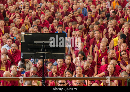 Dharamshala, Indien - 6. Juni 2017: Öffentlichen Belehrungen seiner Heiligkeit dem Dalai Lama in Dharamsala, Indien. Bildnachweis: Aliaksandr Mazurkevich/Alamy Live-Nachrichten Stockfoto