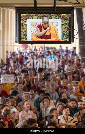 Dharamshala, Indien - 6. Juni 2017: Öffentlichen Belehrungen seiner Heiligkeit dem Dalai Lama in Dharamsala, Indien. Bildnachweis: Aliaksandr Mazurkevich/Alamy Live-Nachrichten Stockfoto