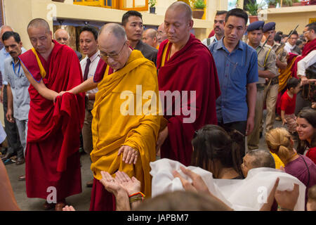 Dharamshala, Indien - 6. Juni 2017: Öffentlichen Belehrungen seiner Heiligkeit dem Dalai Lama in Dharamsala, Indien. Bildnachweis: Aliaksandr Mazurkevich/Alamy Live-Nachrichten Stockfoto