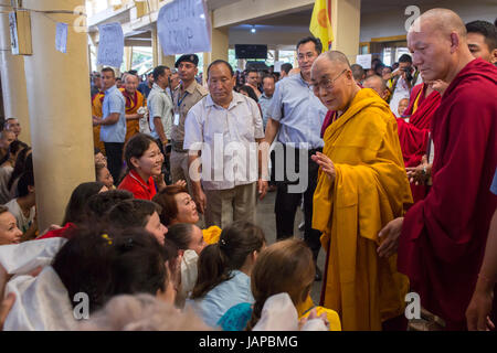 Dharamshala, Indien - 6. Juni 2017: Öffentlichen Belehrungen seiner Heiligkeit dem Dalai Lama in Dharamsala, Indien. Bildnachweis: Aliaksandr Mazurkevich/Alamy Live-Nachrichten Stockfoto