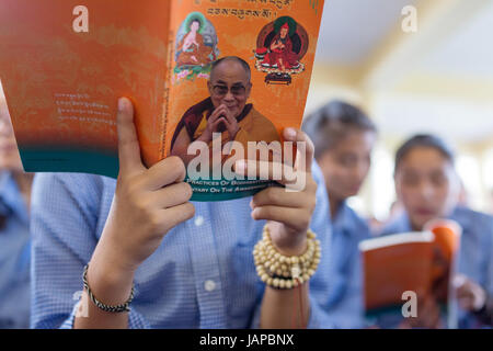 Dharamshala, Indien - 7. Juni 2017: Öffentlichen Belehrungen seiner Heiligkeit dem Dalai Lama in Dharamsala, Indien. Bildnachweis: Aliaksandr Mazurkevich/Alamy Live-Nachrichten Stockfoto