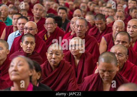 Dharamshala, Indien - 7. Juni 2017: Öffentlichen Belehrungen seiner Heiligkeit dem Dalai Lama in Dharamsala, Indien. Bildnachweis: Aliaksandr Mazurkevich/Alamy Live-Nachrichten Stockfoto