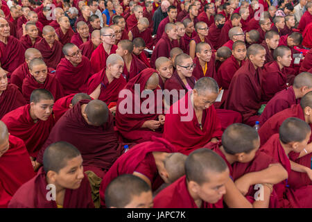 Dharamshala, Indien - 7. Juni 2017: Öffentlichen Belehrungen seiner Heiligkeit dem Dalai Lama in Dharamsala, Indien. Bildnachweis: Aliaksandr Mazurkevich/Alamy Live-Nachrichten Stockfoto