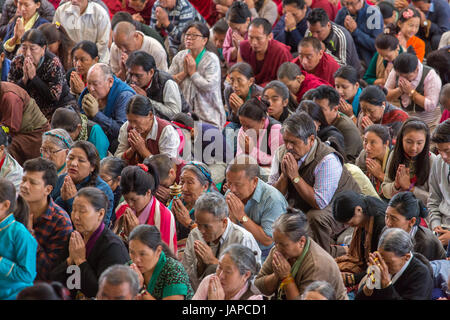 Dharamshala, Indien - 7. Juni 2017: Öffentlichen Belehrungen seiner Heiligkeit dem Dalai Lama in Dharamsala, Indien. Bildnachweis: Aliaksandr Mazurkevich/Alamy Live-Nachrichten Stockfoto