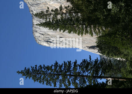 3. Juni 2017: Datei: renommierte Kletterer ALEX HONNOLD hat erreicht, was genannt worden ist "die"Mondlandung"von free-solo. Honnold, 31, skaliert Yosemite Nationalpark berühmten 3.000 Fuß Gipfel El Capitan in 3 Stunden, 56 Minuten, mit National Geographic, dass Teile des Aufstiegs zu erfassen. Es ist bereits von vielen als der gefährlichste free-Solo (Skalierung einen Gipfel ohne Seile oder Fangvorrichtung) Aufstieg immer abgeschlossen werden. Im Bild: Sep 27, 2004; Yosemite, CA, USA; Yosemite El Cap, ein beliebtes klettern Ziel im Yosemite-Nationalpark (Credit-Bild: © Krista Kennell/ZUMAPRESS.com) Stockfoto