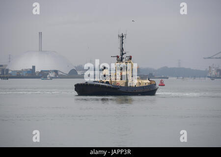 Tug Boat Svitzer Alma in Southampton Docks tätig Stockfoto