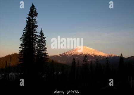 Waldgebiet rund um Mt. Bachelor in Oregon hohe Kaskaden Stockfoto