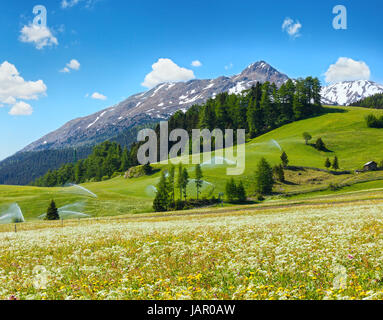Bewässerungswasser Tüllen im Sommer Alpen Berg (Italien).  Blauer Himmel mit einigen Quellwolken. Stockfoto