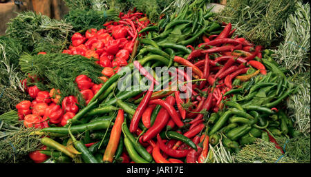 Eine Darstellung der unterschiedlichen Vielzahl von organischen kühlen Paprika und Kräutern Stockfoto